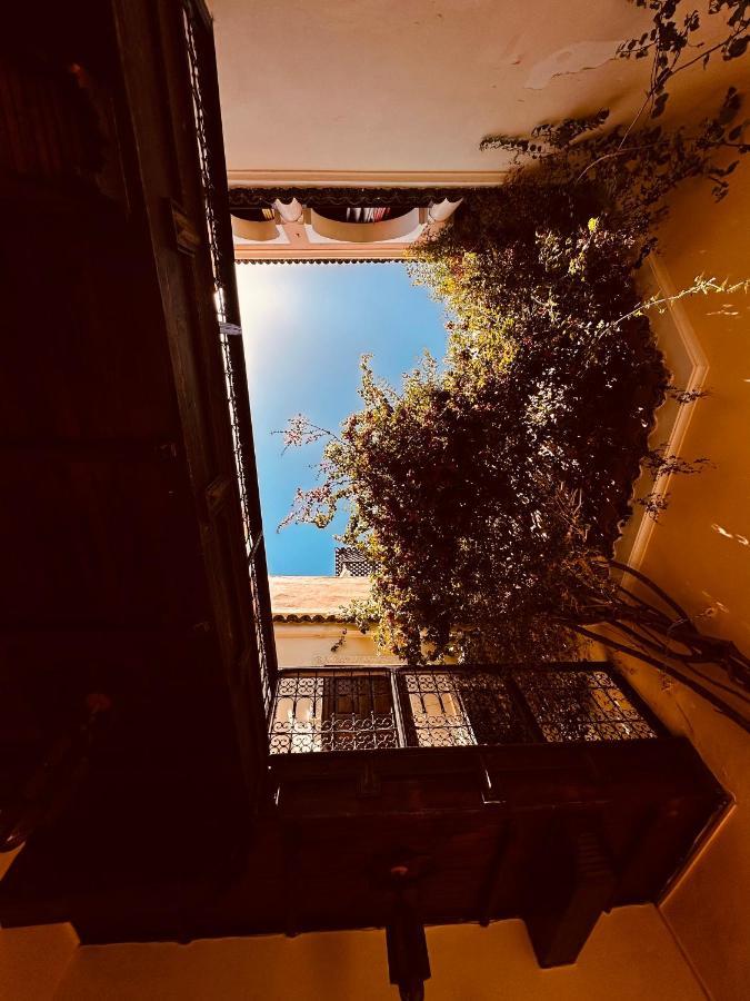 Riad Msholidays Bassin Privatise Marrakech 马拉喀什 外观 照片