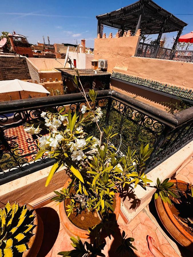 Riad Msholidays Bassin Privatise Marrakech 马拉喀什 外观 照片
